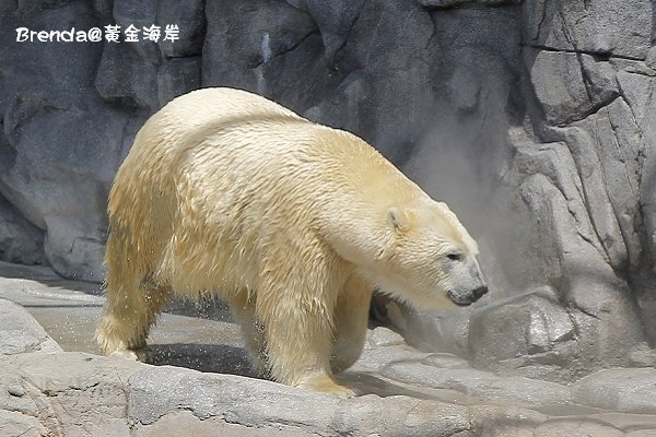 Sea World, Gold Coast