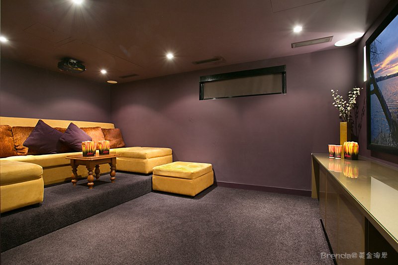 OCEAN Theatre Room.jpg