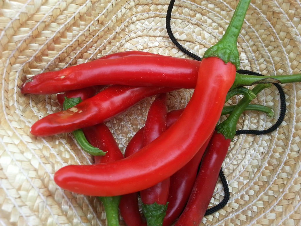 20130920_122448.jpg