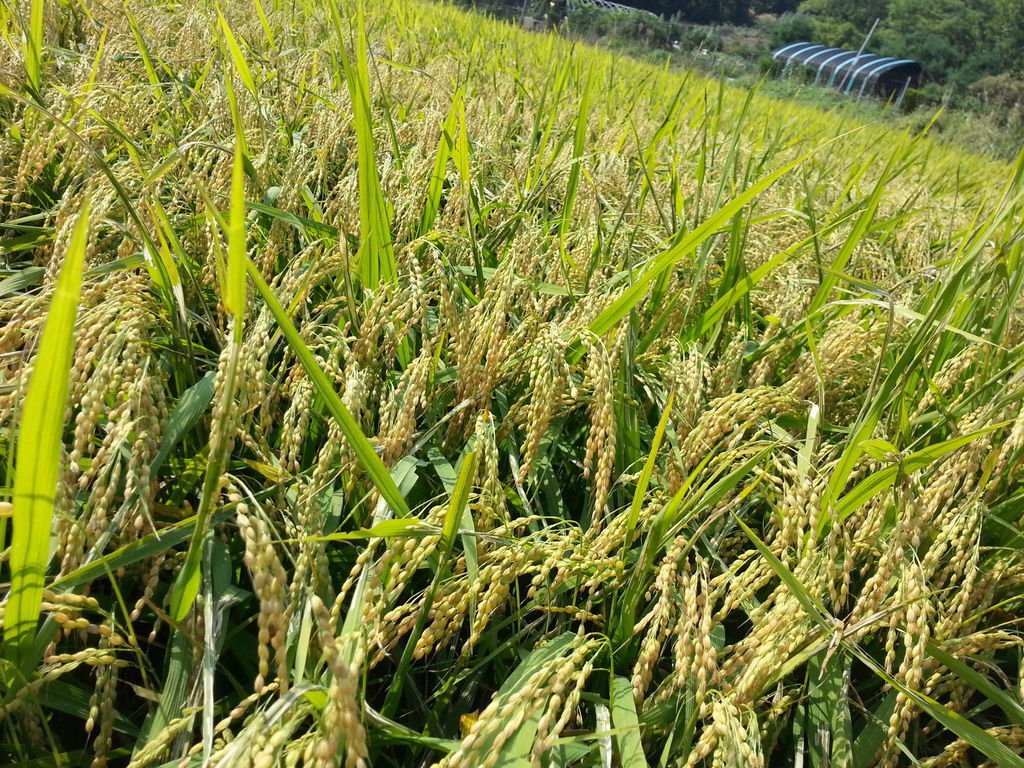 20130920_144423.jpg