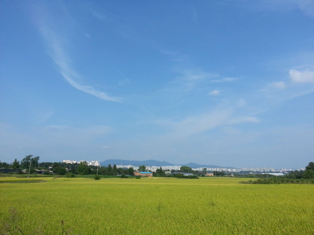 20130920_145136.jpg