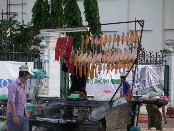 P1000090.JPG