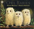 Owl Babies 1