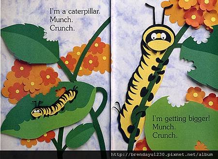 I AM A CATERPILLAR-IN