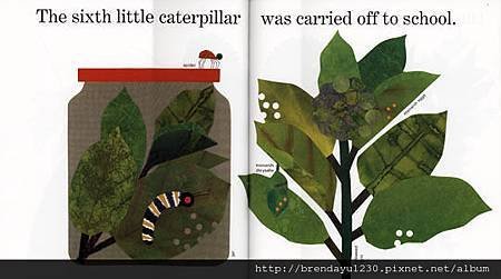 TEN LITTLE CATERPILLARS-IN