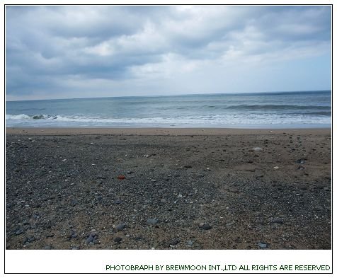 DSCF9460.jpg