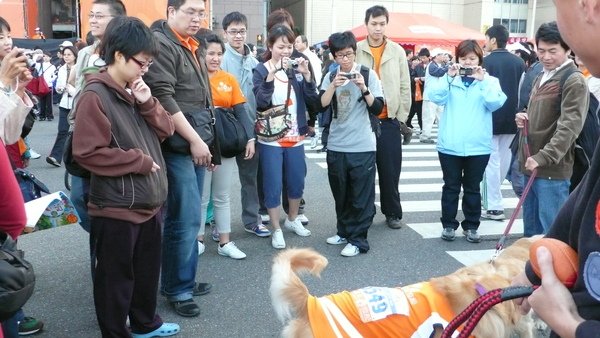 丫勇今天是鎂光燈的焦點.JPG