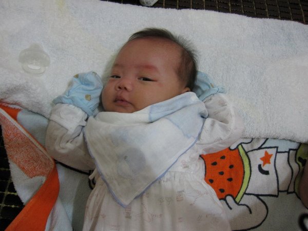IMG_0085_縮小大小.JPG