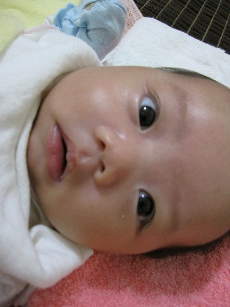 IMG_0217_縮小大小.JPG