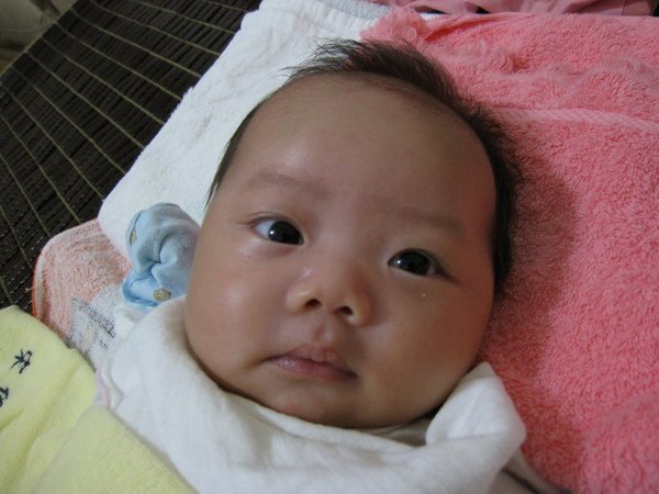 IMG_0221_縮小大小.JPG