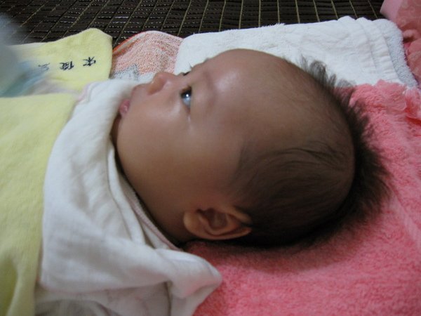 IMG_0234_縮小大小.JPG