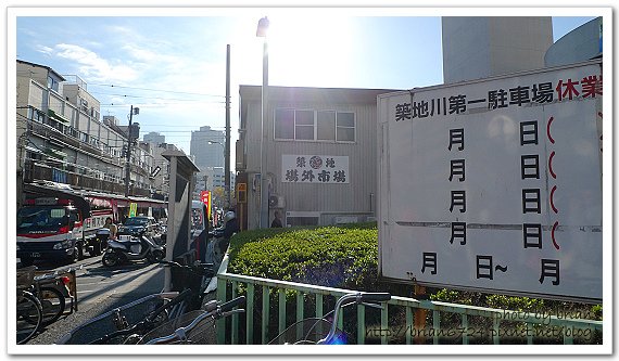 P1110693.jpg
