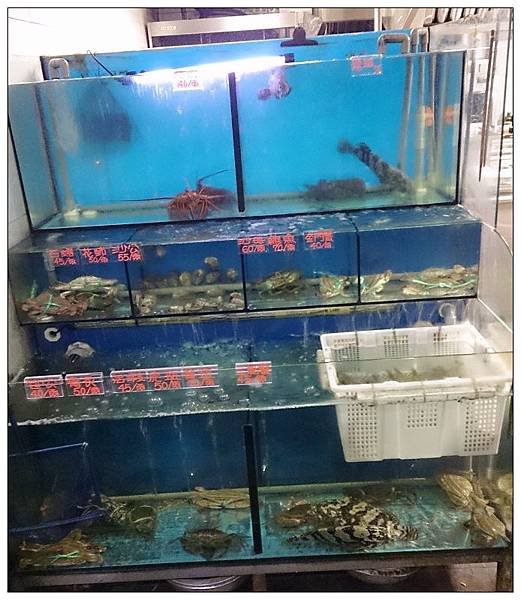 怡人園08.JPG