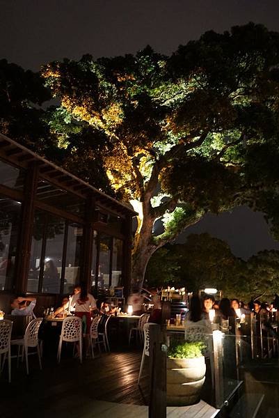 陽明山草山夜未眠02.JPG