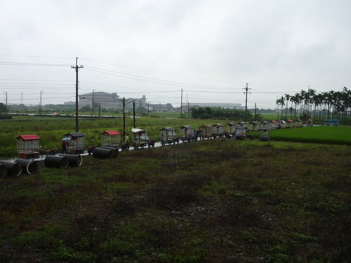 ap_F23_20100608103827857.jpg