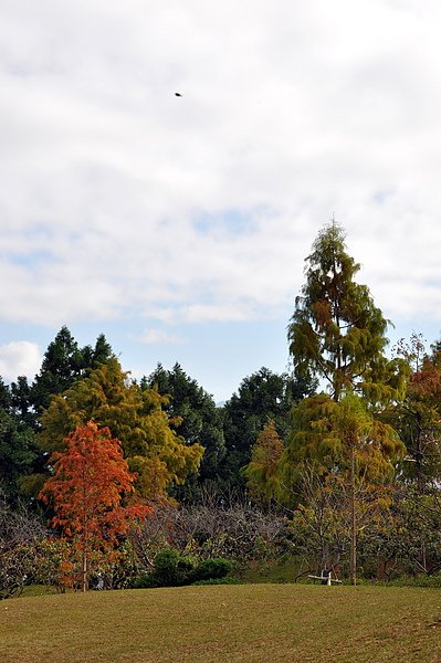 新社莊園 (37).jpg