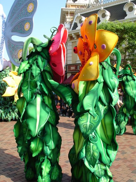 DSC07002.JPG