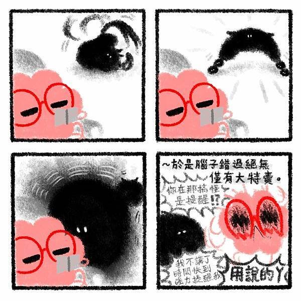 一隻微小的蝠貓 🦇🐈‍⬛ 033搞怪的重點