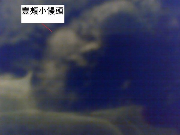 20091015572.jpg