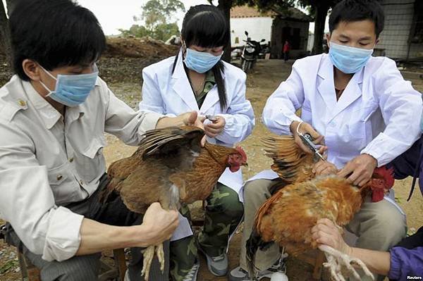 h7n9檢疫