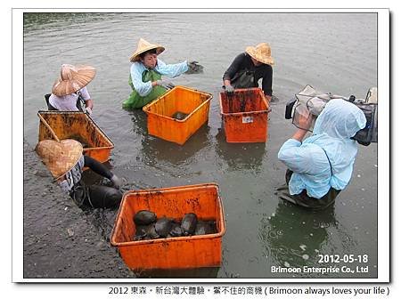 2012東森採訪_耀月鱉養殖場_20