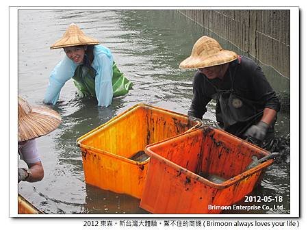 2012東森採訪_耀月鱉養殖場_28