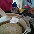 IMG_2385.JPG