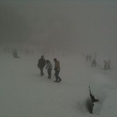 IMG_2649.JPG