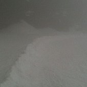 IMG_2681.JPG