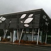 IMG_2691.JPG
