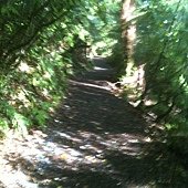 IMG_2697.JPG