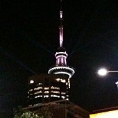 IMG_3006.JPG