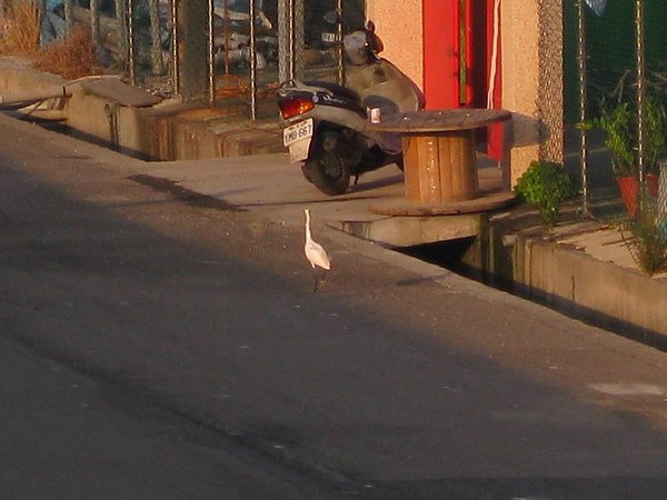 IMG_0490.JPG