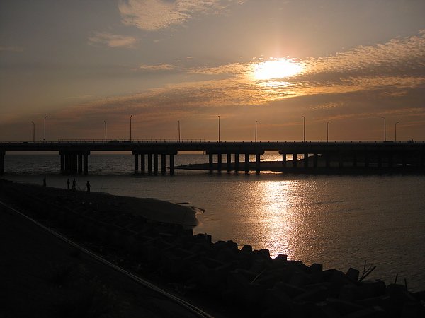 IMG_0502.JPG