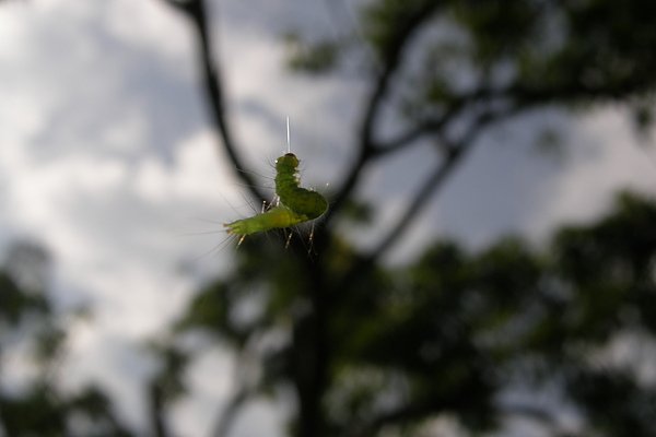 P1010308.JPG