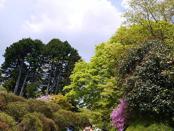 P1030496