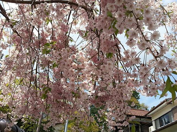 20140425_090458
