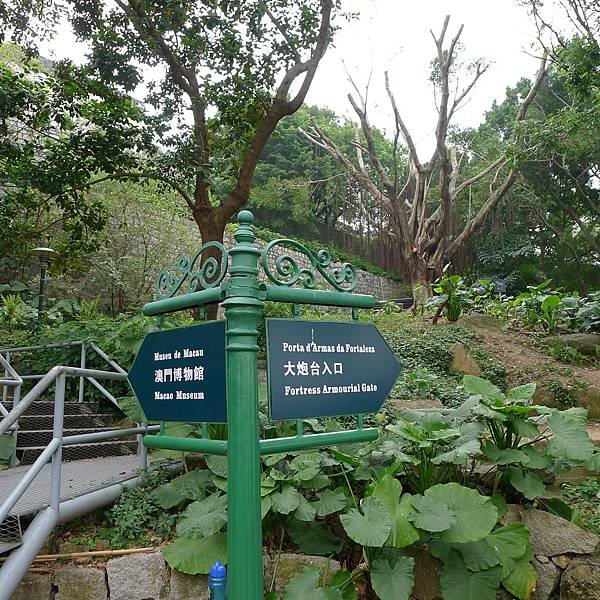 P1100787