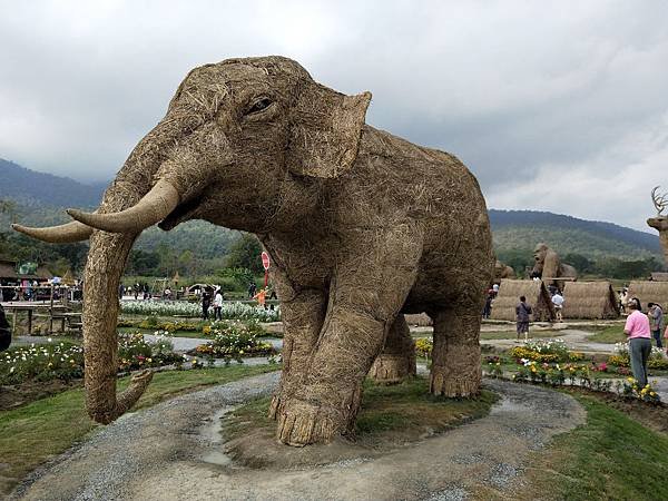 IMG20190101101419.jpg