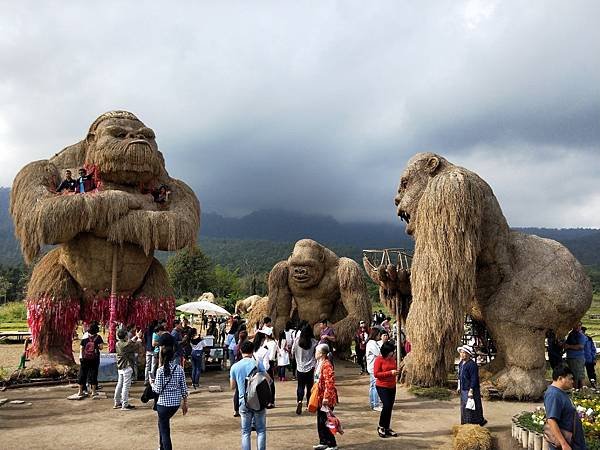 IMG20190101102235.jpg