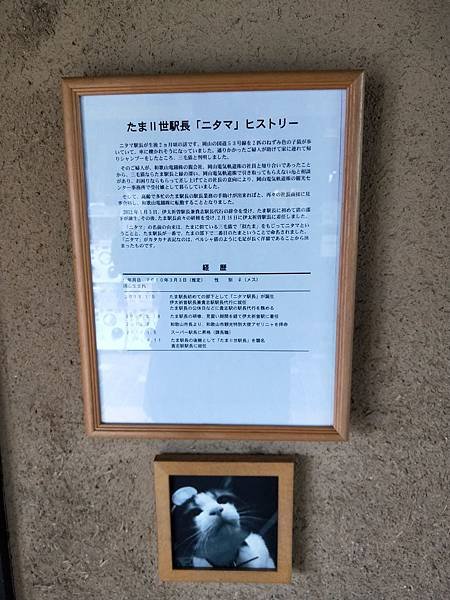 IMG20190301100110.jpg