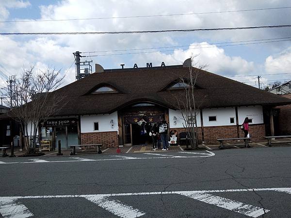 IMG20190301095945.jpg