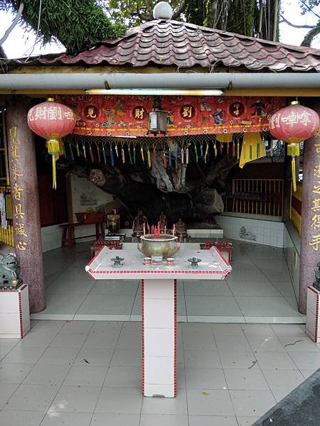 IMG20191010143621.jpg