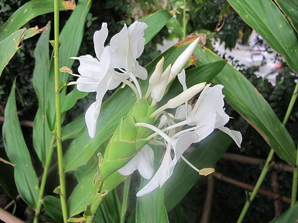 IMG_8395