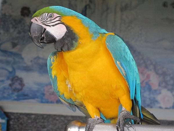IMG_9109