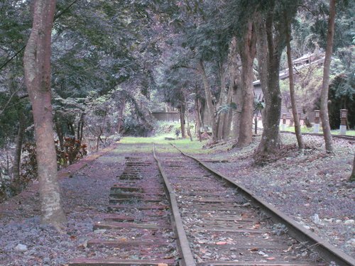 林田山林業文化園區53.jpg