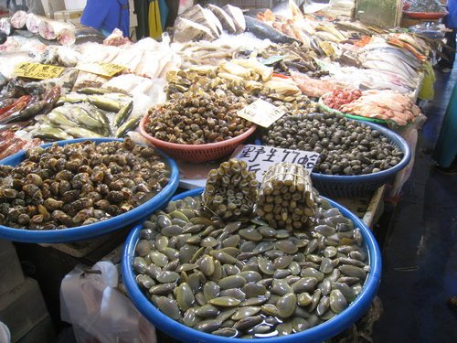 嘉義布袋魚市20.jpg