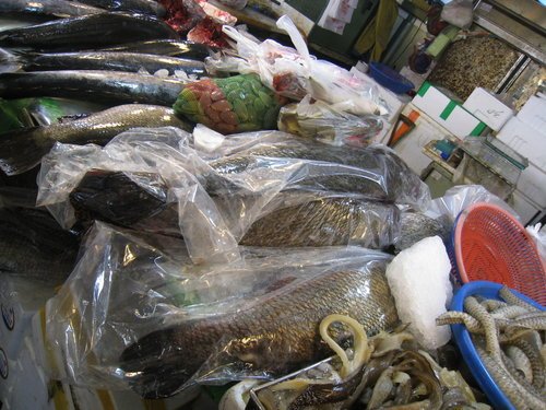 嘉義布袋魚市23.jpg