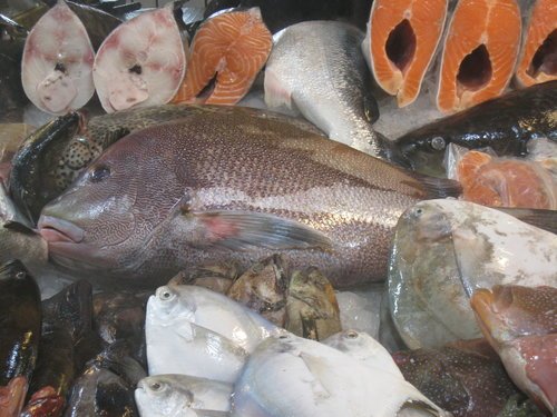嘉義布袋魚市58.jpg