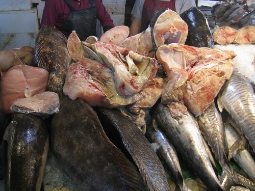嘉義布袋魚市62.jpg